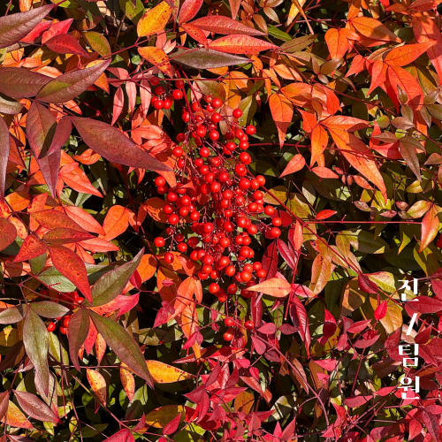 94124ff3088a56a46e2e8cb81c598e74_1732953192_802.png