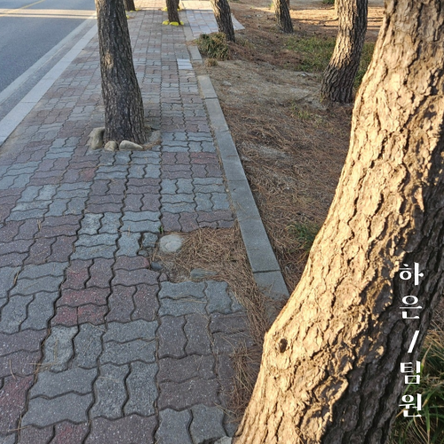 94124ff3088a56a46e2e8cb81c598e74_1732953193_6299.png