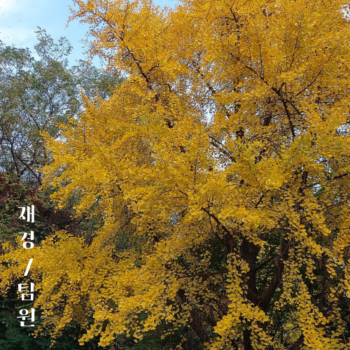 94124ff3088a56a46e2e8cb81c598e74_1732953237_8903.png