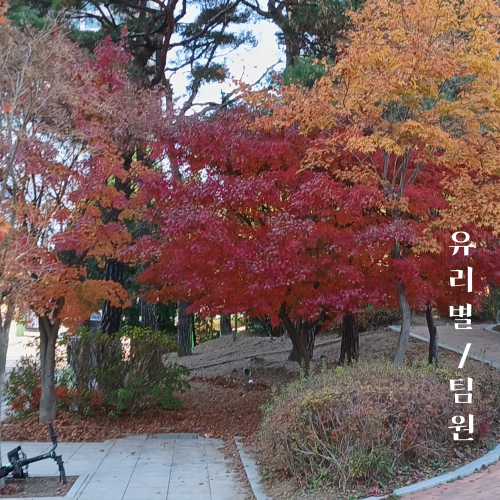 94124ff3088a56a46e2e8cb81c598e74_1732953238_405.png