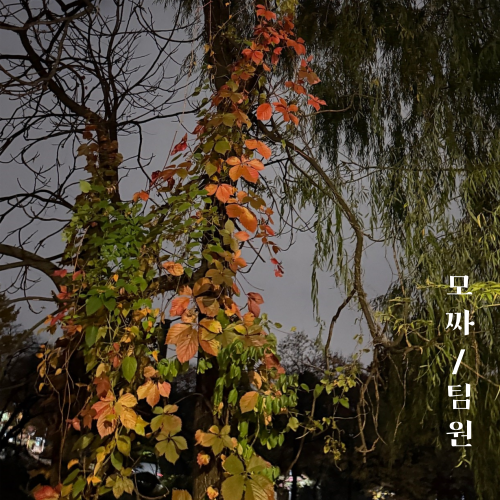 94124ff3088a56a46e2e8cb81c598e74_1732953238_7161.png